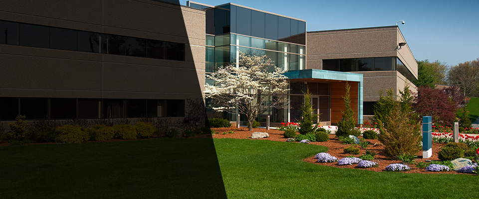 Harbor Springs Landscapers