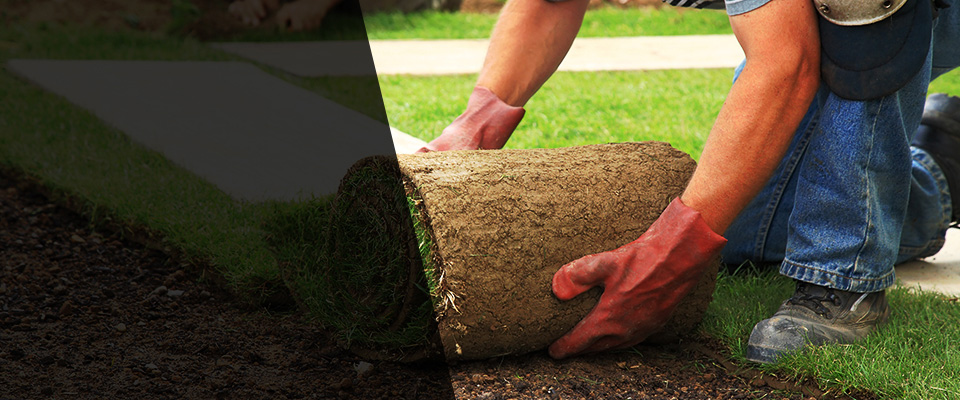 Harbor Springs Landscapers